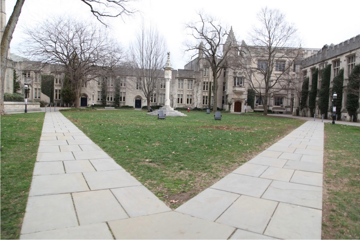 November 2025 Newsletter