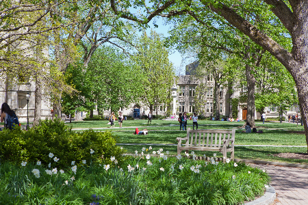 FIRE Spotlight on Speech Codes 2026: Good News, but Not for Princeton