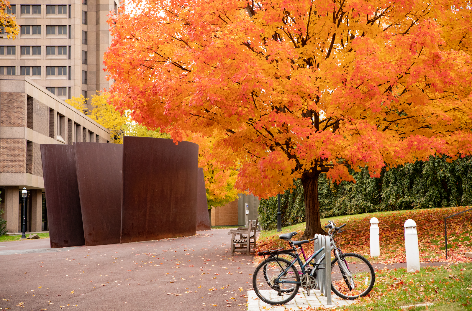 October 2024 Newsletter