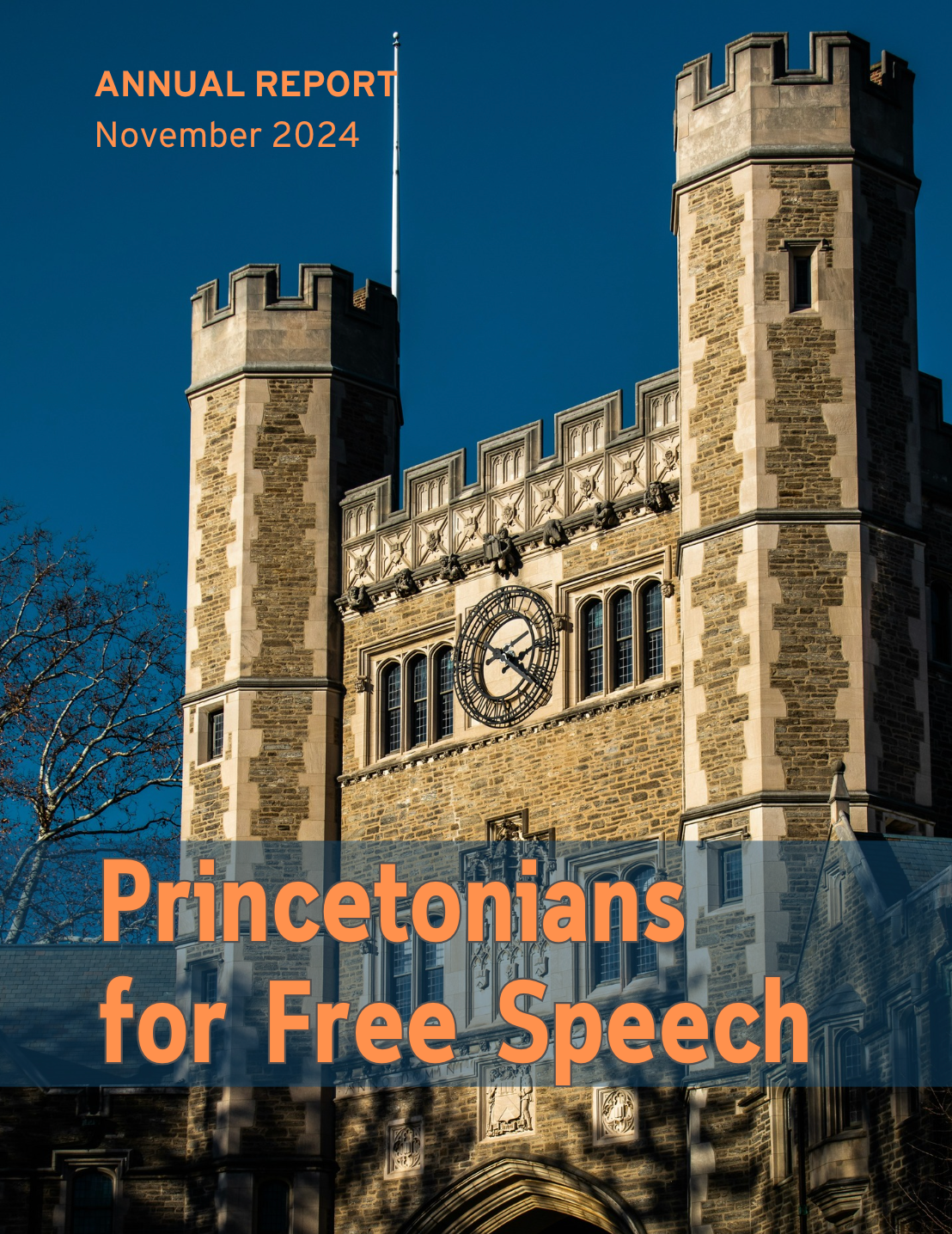 November 2024 Newsletter