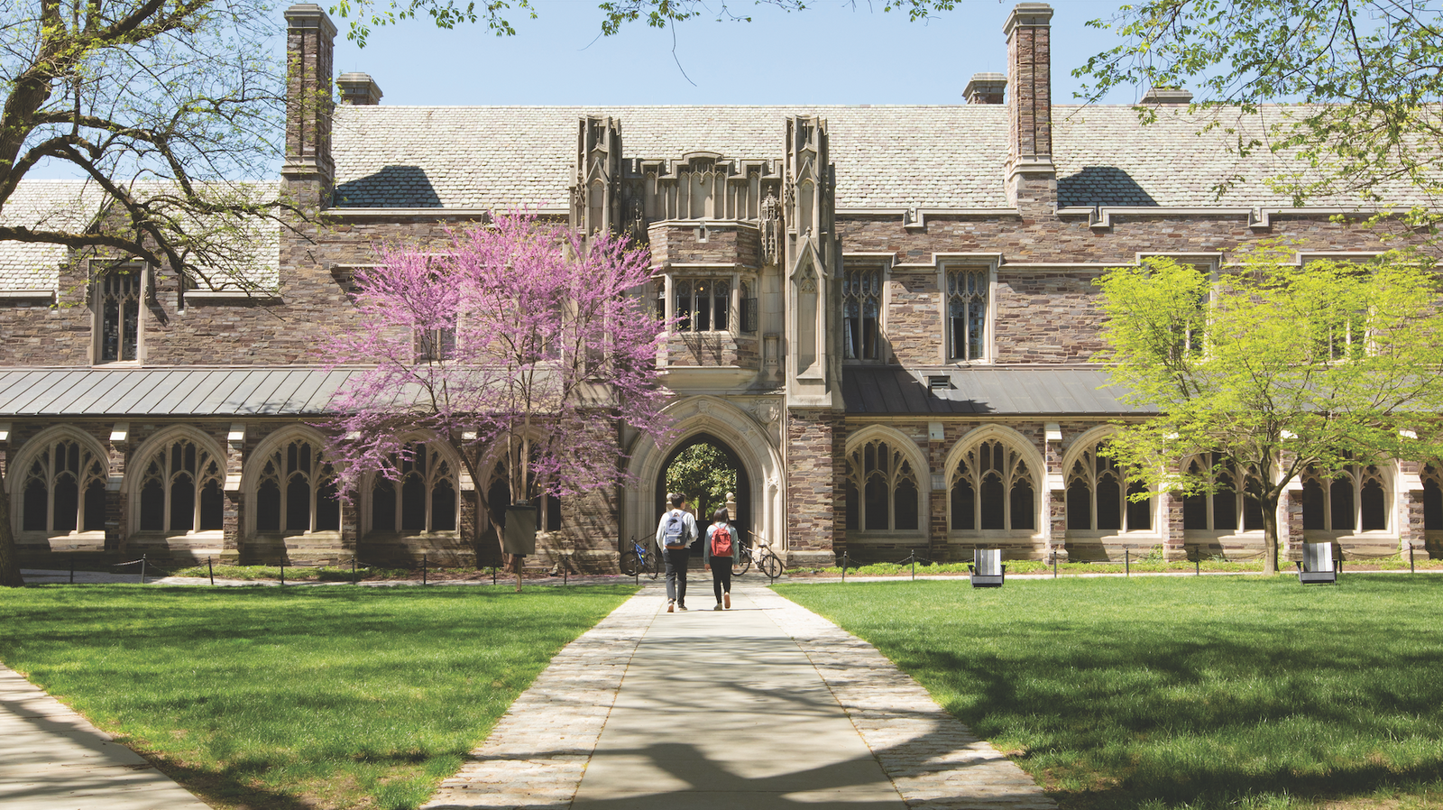 March 2025 Newsletter