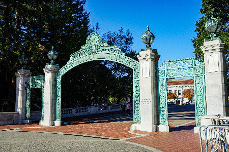 Two Takes: Was UC Berkeley right to suspend a lecturer over his pro-Palestinian advocacy?