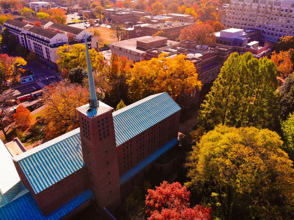 Special Commission Report on the State of Scholarship in the Humanities and the Humanistic Social Sciences