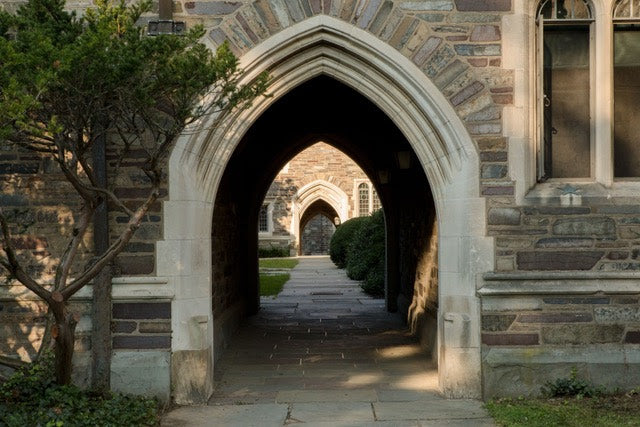 March 2024 Newsletter